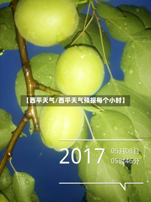 【西平天气/西平天气预报每个小时】-第1张图片