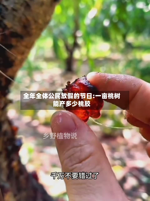 全年全体公民放假的节日:一亩桃树能产多少桃胶-第1张图片
