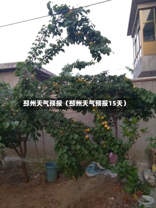 邳州天气预报（邳州天气预报15天）-第1张图片
