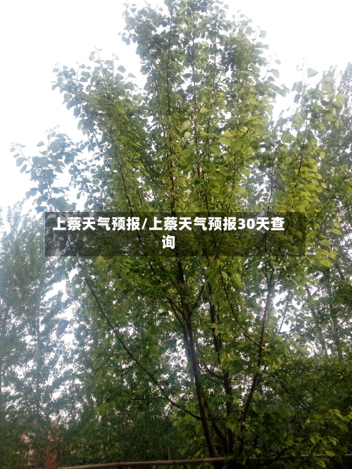 上蔡天气预报/上蔡天气预报30天查询-第1张图片