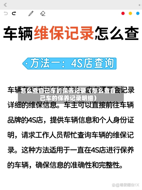怎么查自己车的保养记录(怎么查自己车的保养记录明细)-第1张图片