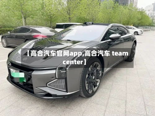 【高合汽车官网app,高合汽车 teamcenter】-第1张图片