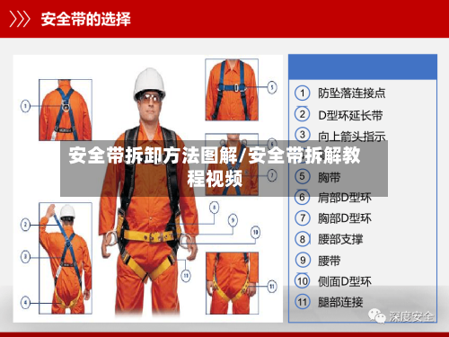 安全带拆卸方法图解/安全带拆解教程视频-第1张图片