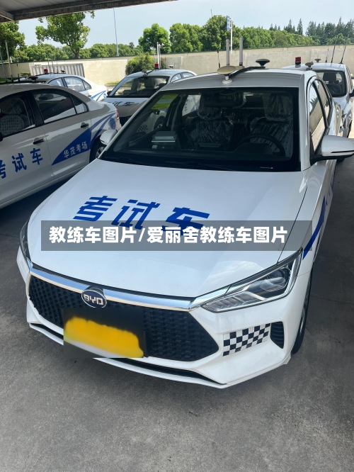 教练车图片/爱丽舍教练车图片-第1张图片