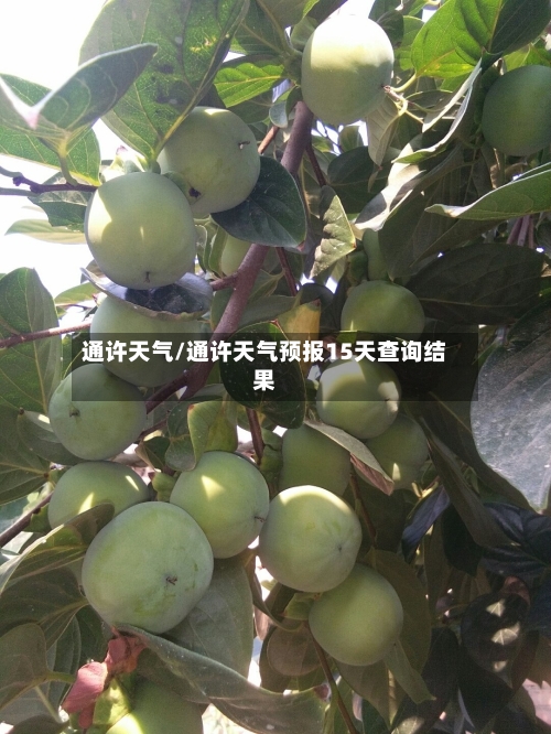 通许天气/通许天气预报15天查询结果-第1张图片