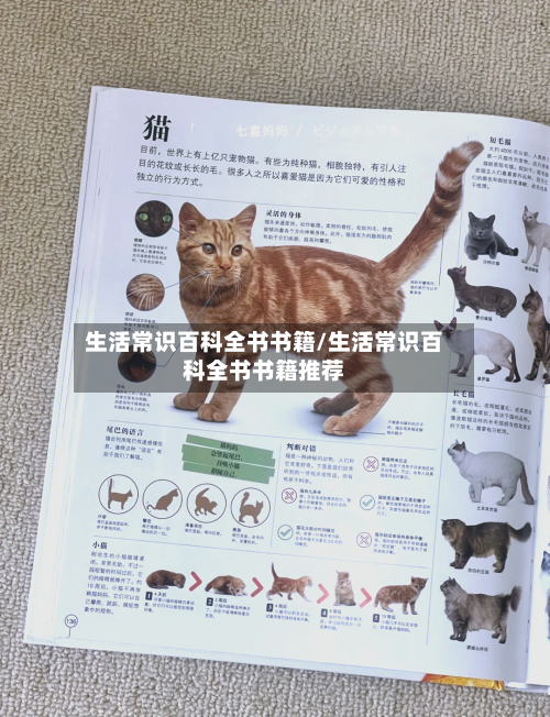 生活常识百科全书书籍/生活常识百科全书书籍推荐-第1张图片