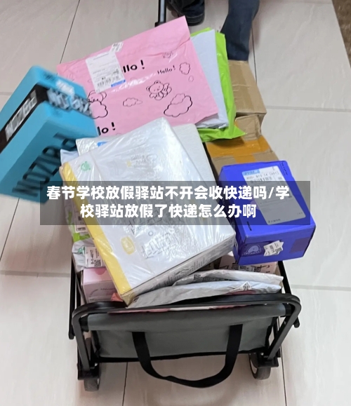 春节学校放假驿站不开会收快递吗/学校驿站放假了快递怎么办啊-第1张图片
